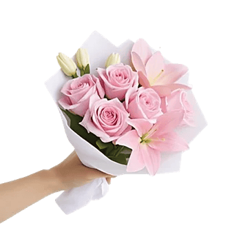 Blushing Rose Symphony