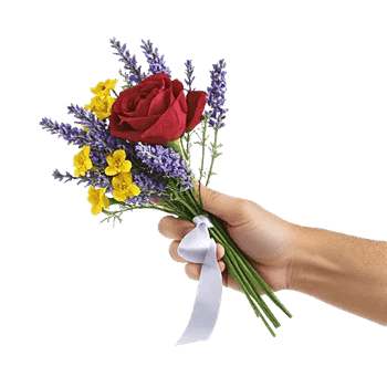 Crimson Rose Elegance