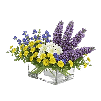 Lavender Bloom Grace