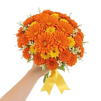 Vibrant Orange Delight