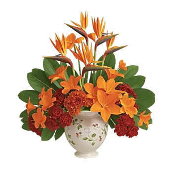 Tropical Sunflower Burst