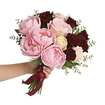 Peony Petal Harmony