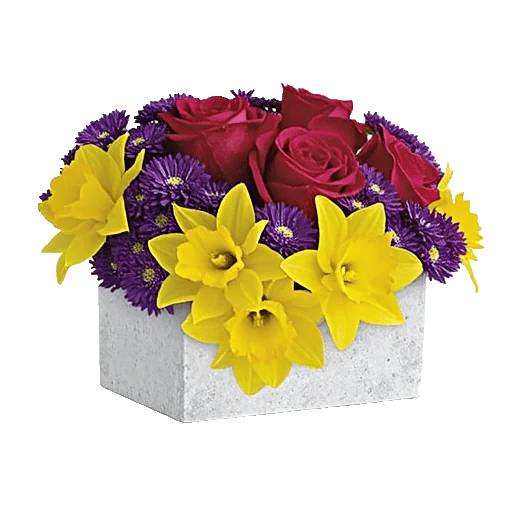 Petal Radiance Bliss