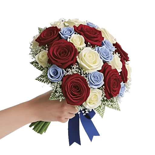 Blushing Rose Symphony