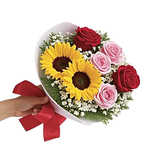 Crimson Rose Elegance