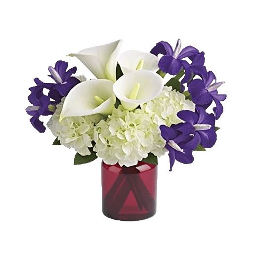 Elegant Calla Lilies