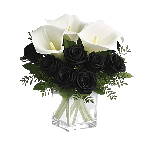 Elegant Calla Lilies