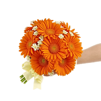 Petal Harmony Bliss