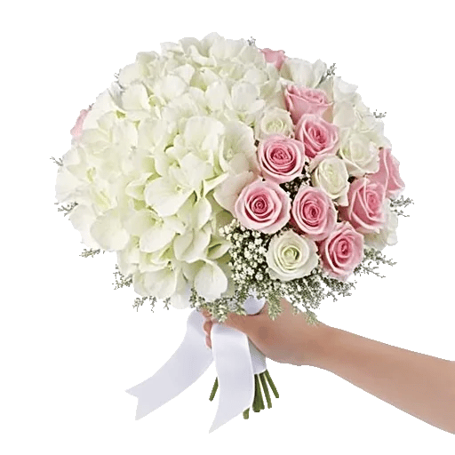 Serene Petal Harmony