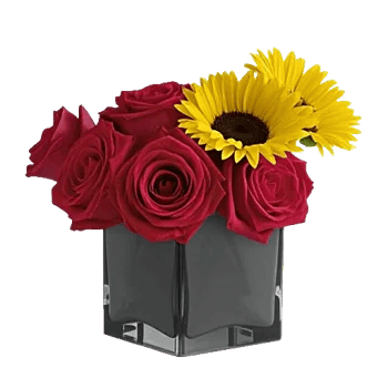 Crimson Blossom Harmony