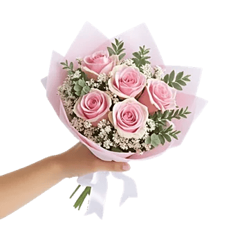Pastel Pink Roses