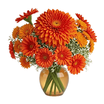 Radiant Bloom Cascade