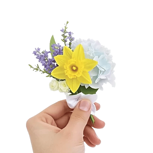 Blossom Petal Serenity