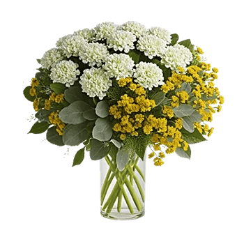 Ivory Blossom Radiance