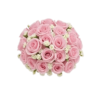 Pink Pastel Roses