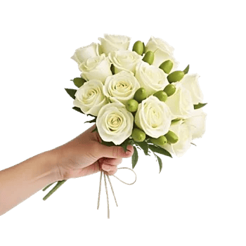 Ivory Garden Grace