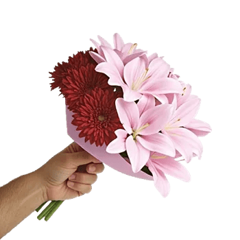 Crimson Blossom Harmony