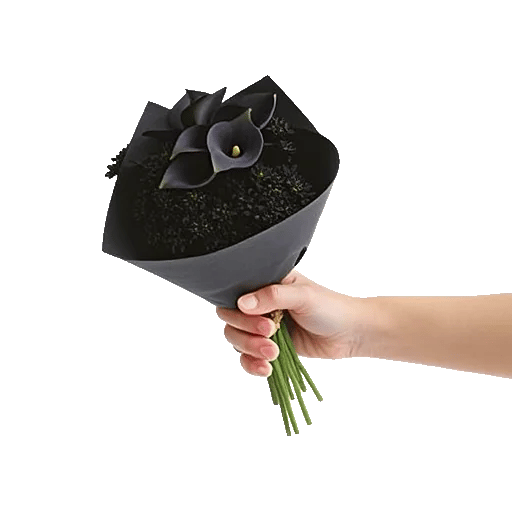 Elegant Calla Lilies