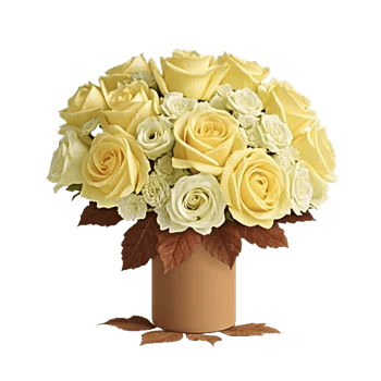 Radiant Rose Symphony