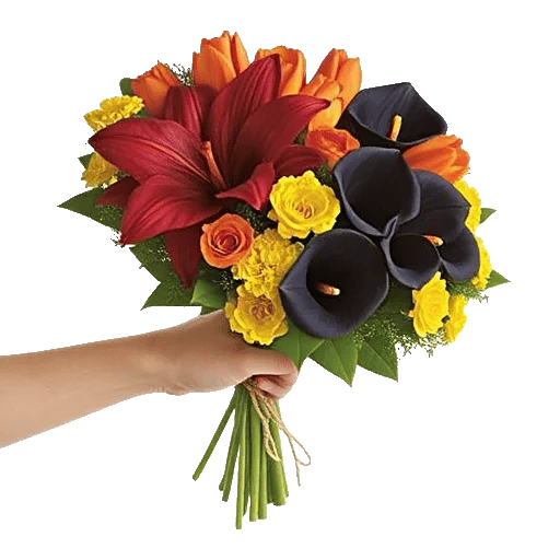 Elegant Calla Lilies