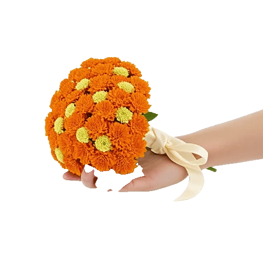Vibrant Orange Delight