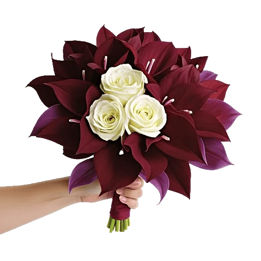 Blushing Rose Symphony