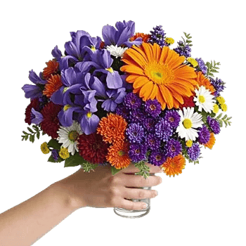 Vibrant Bloom Spectrum