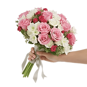 Delicate Petal Cascade