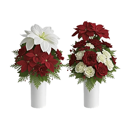 Ivory Blossom Radiance