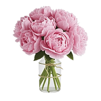 Petal Radiance Bliss