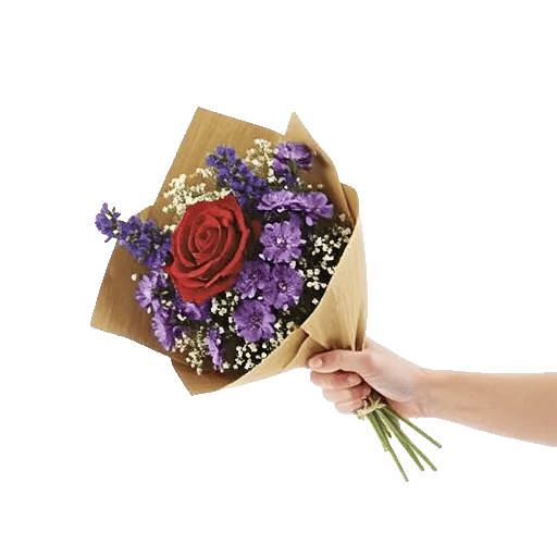 Crimson Rose Elegance