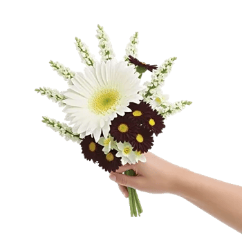 Modern White Orchids