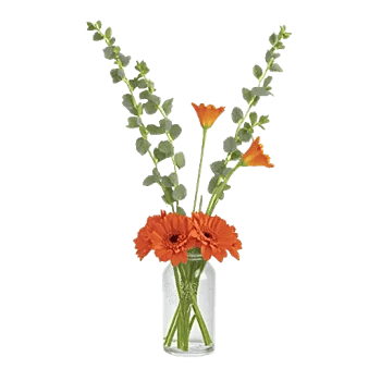 Petal Radiance Bliss