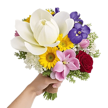 Ivory Blossom Radiance