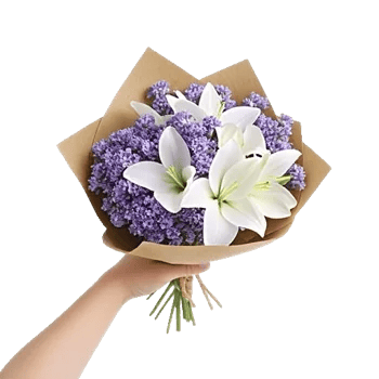 Blossom Petal Serenity