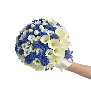 Ivory Garden Grace