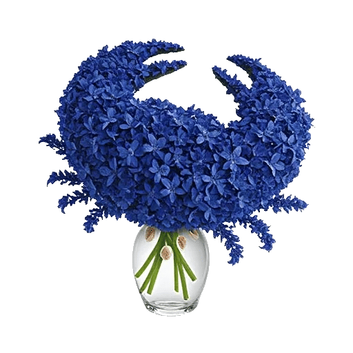 Sapphire Bloom Whisper