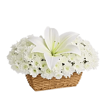 Graceful Lily Display