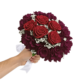 Crimson Rose Elegance