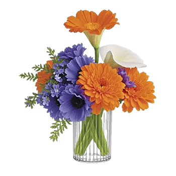 Radiant Bloom Cascade