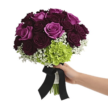 Blushing Rose Symphony