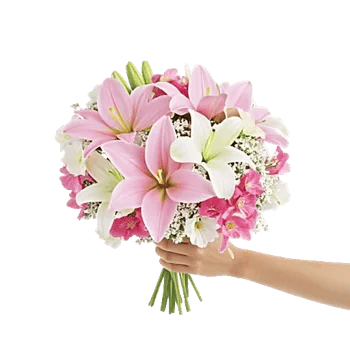 Graceful Lily Display