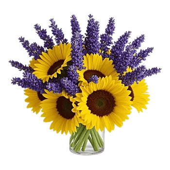 Radiant Bloom Cascade