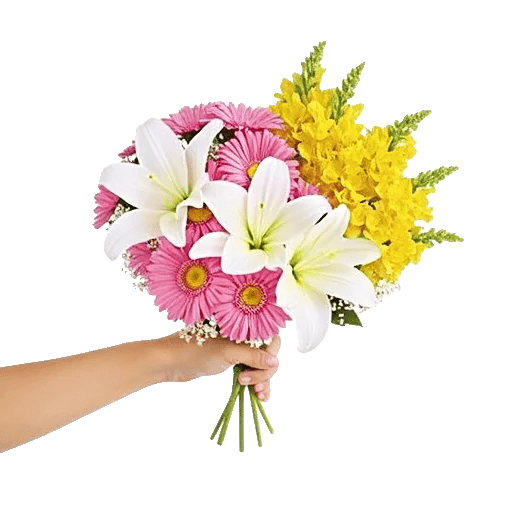 Blossom Harmony Display