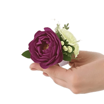 Plum Blossom Radiance