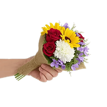 Petal Harmony Bliss