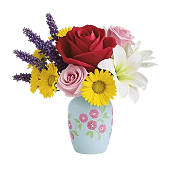 Radiant Rose Symphony