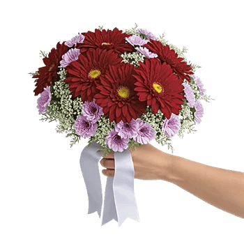 Crimson Blossom Harmony