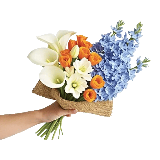 Elegant Calla Lilies