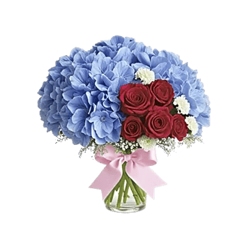 Sapphire Bloom Whisper